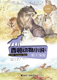 书籍 西顿动物小说：狼王洛波的封面