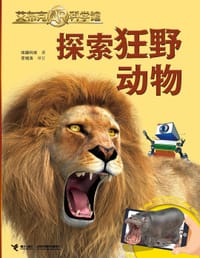 探索狂野动物 - 炫睛科技