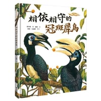 相依相守的冠斑犀鸟