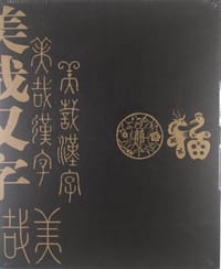 书籍 美哉汉字的封面