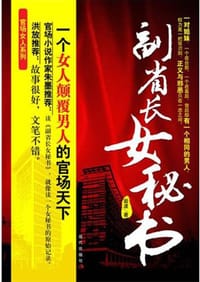 书籍 副省长女秘书的封面