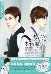 书籍 复仇坏男人的封面