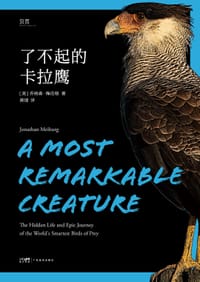 了不起的卡拉鹰 - [美]乔纳森·梅伯格