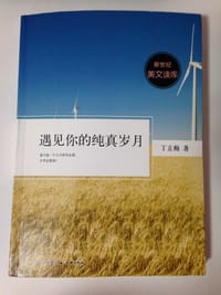 书籍 遇见你的纯真岁月的封面