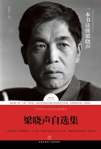 书籍 梁晓声自选集的封面