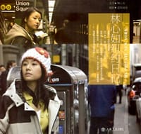 书籍 林心如纽约日记的封面