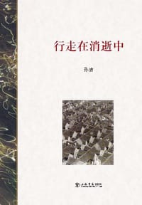 书籍 行走在消逝中的封面