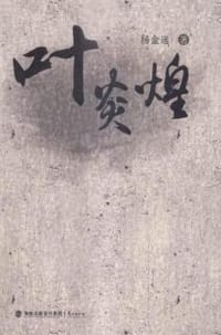 书籍 叶炎煌的封面