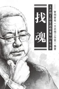 书籍 找魂：王志纲工作室战略策划10年实录的封面