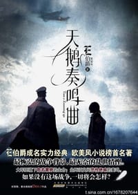 书籍 天鹅奏鸣曲的封面