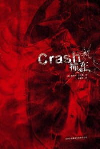 书籍 撞车的封面