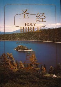 新约全书：新标点和合本