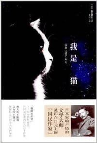 书籍 我是猫的封面