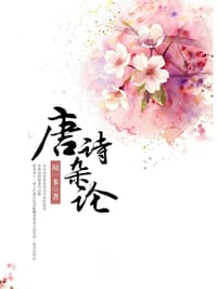 书籍 唐诗杂论的封面