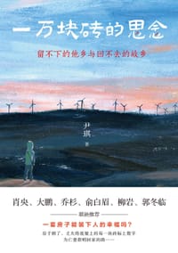 一万块砖的思念 - 尹琪
