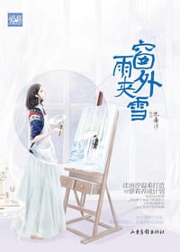 窗外雨夹雪 - 沈南汐