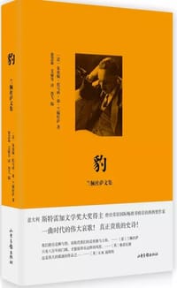 豹