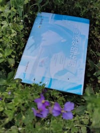 书籍 时间深处的花园的封面