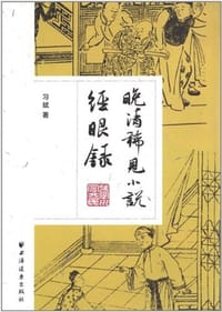 书籍 晚清稀见小说经眼录的封面
