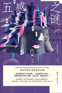 书籍 五感之谜的封面