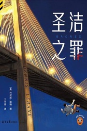 圣洁之罪