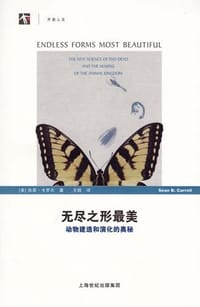 无尽之形最美 - 肖恩·卡罗尔