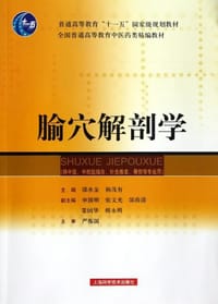 腧穴解剖学