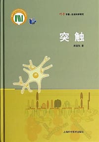 突触