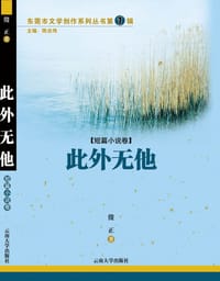 此外无他 - 傻正