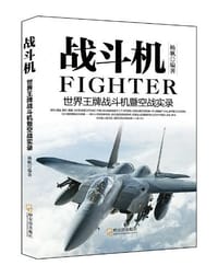 书籍 战斗机的封面