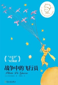 书籍 战争中的飞行员的封面