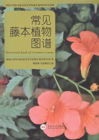 常见藤本植物图谱