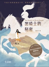 书籍 秘密之旅：黑骑士的秘密的封面