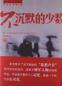 不沉默的少数 - 无名图书