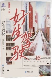 好生驾驶 - 罗再说