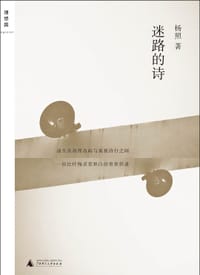 迷路的诗 - 杨照