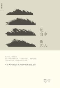 书籍 迷宫中的恋人的封面