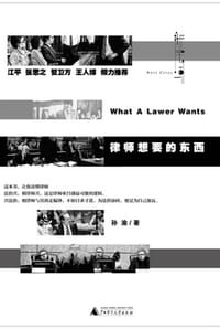 律师想要的东西 - 孙渝