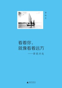 书籍 看着你，就像看着远方的封面