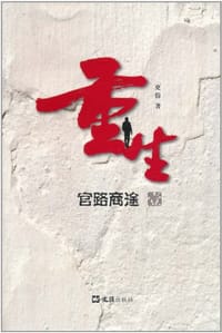 书籍 重生的封面