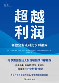 超越利润