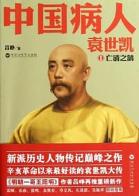 书籍 中国病人的封面