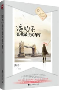 遇见你，在我最美的年华（与空姐，谈一场刻骨铭心的恋爱！）