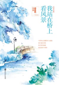 书籍 我站在桥上看风景的封面