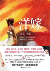 书籍 洋嫁的封面