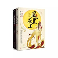 书籍 凤皇在上  - 雪小朵的封面