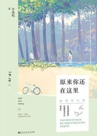 书籍 原来你还在这里的封面