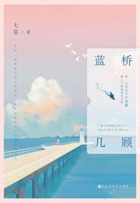 书籍 蓝桥几顾的封面