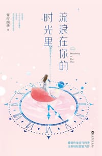 书籍 流浪在你的时光里的封面