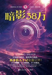 书籍 暗影38万的封面